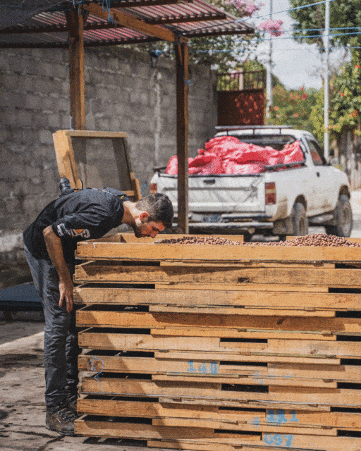 Processing - coffee farm training