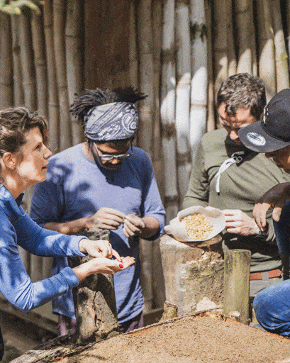 Seeding - coffee farm training